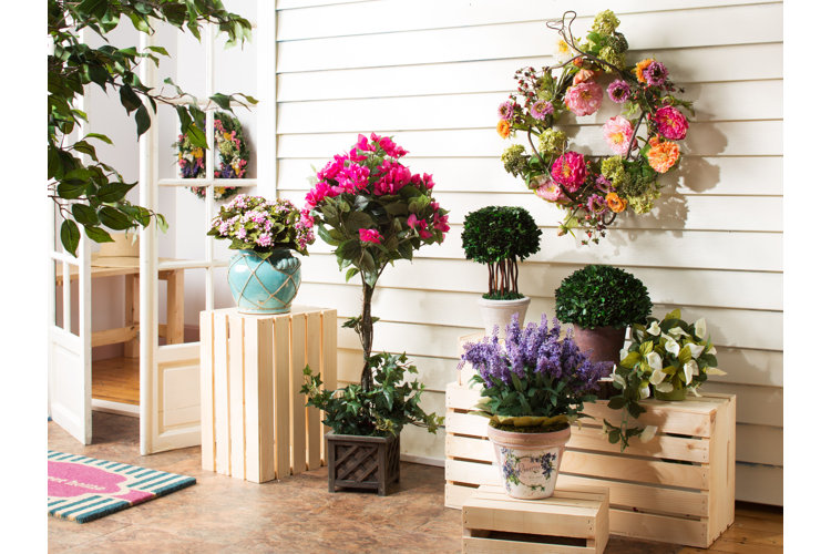 Wayfair plant pots discount